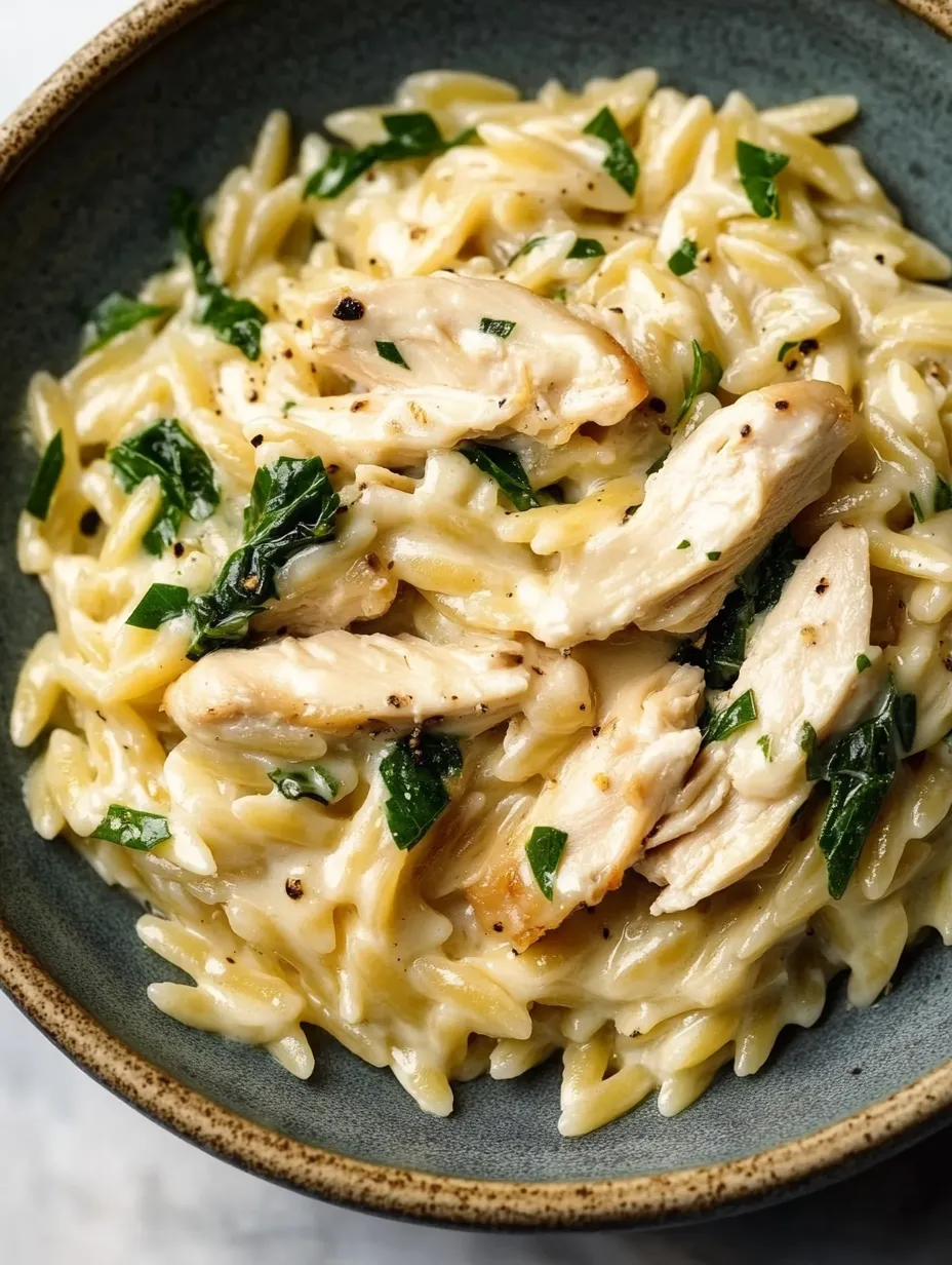 Orzo Boursin con Pollo Casero