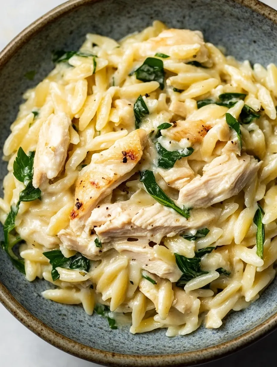 Orzo Boursin con Pollo en Casa
